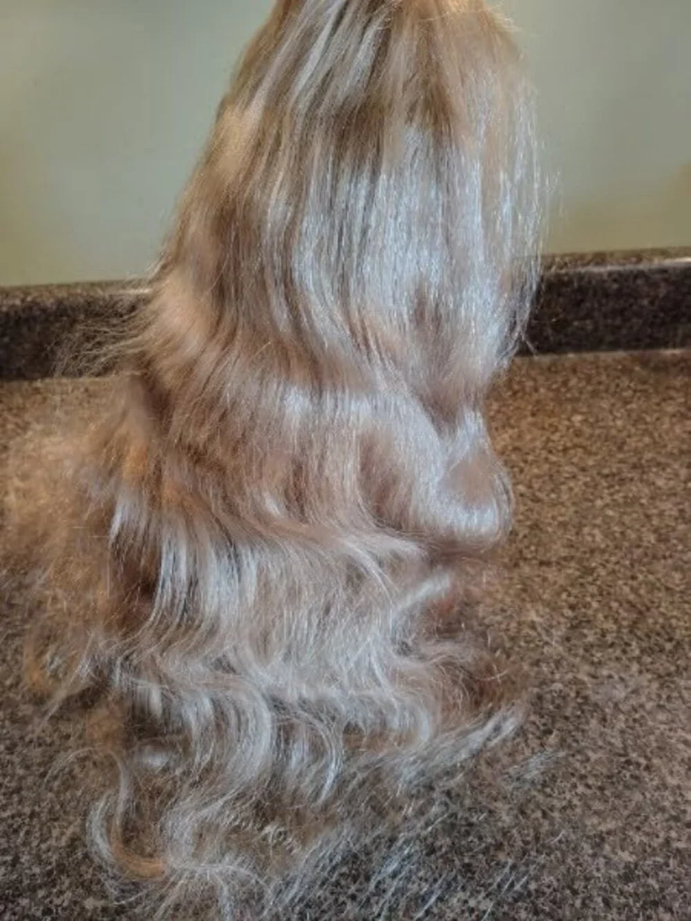 Human Ash Blonde Hair Wavy Wig 13x4 Hd Lace Front Body Wave Glue Less 250%